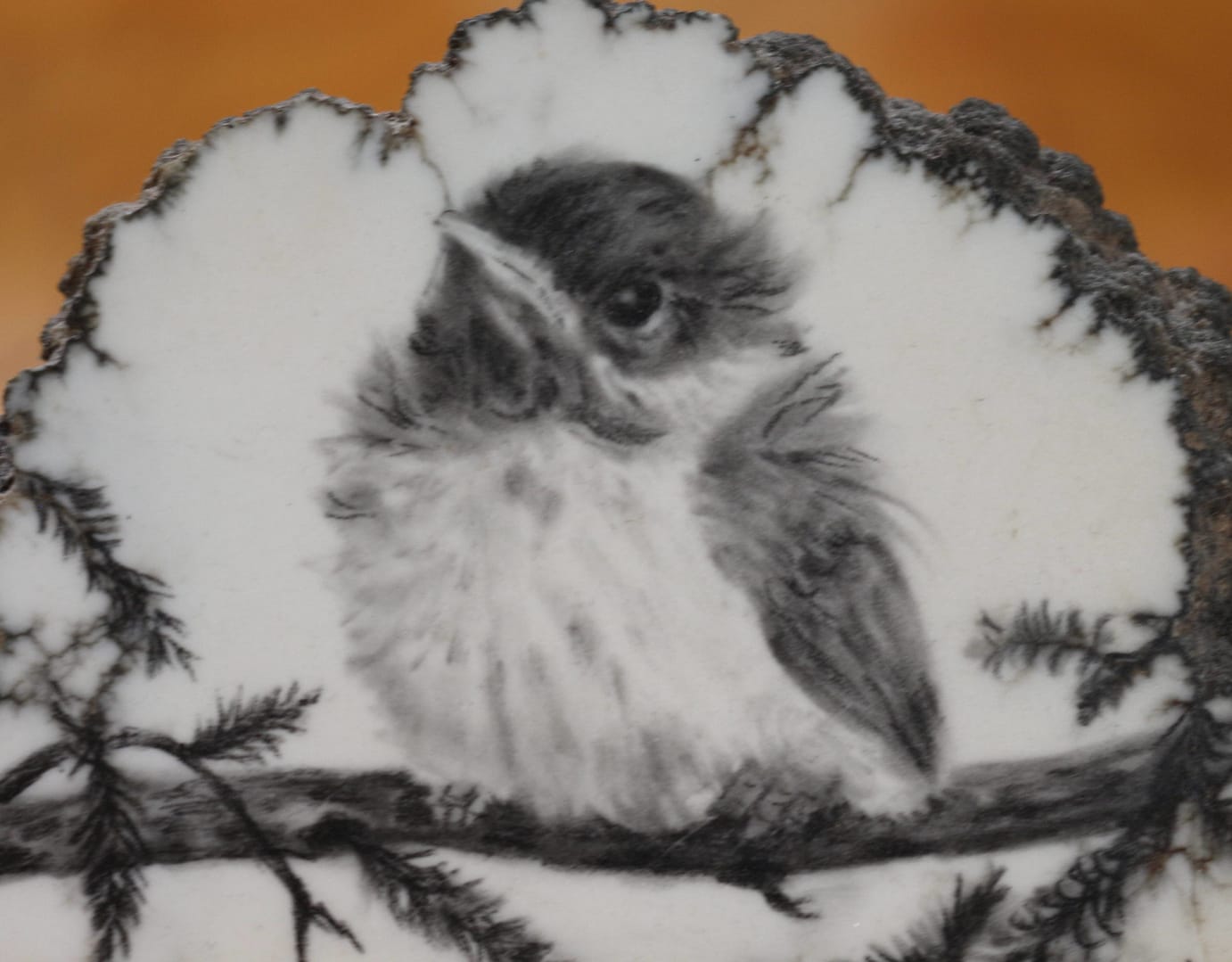drawing of angry chickadee